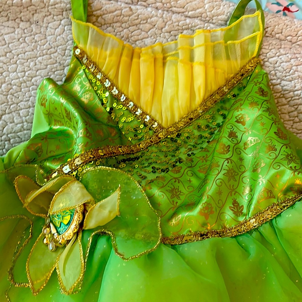 Costume dress